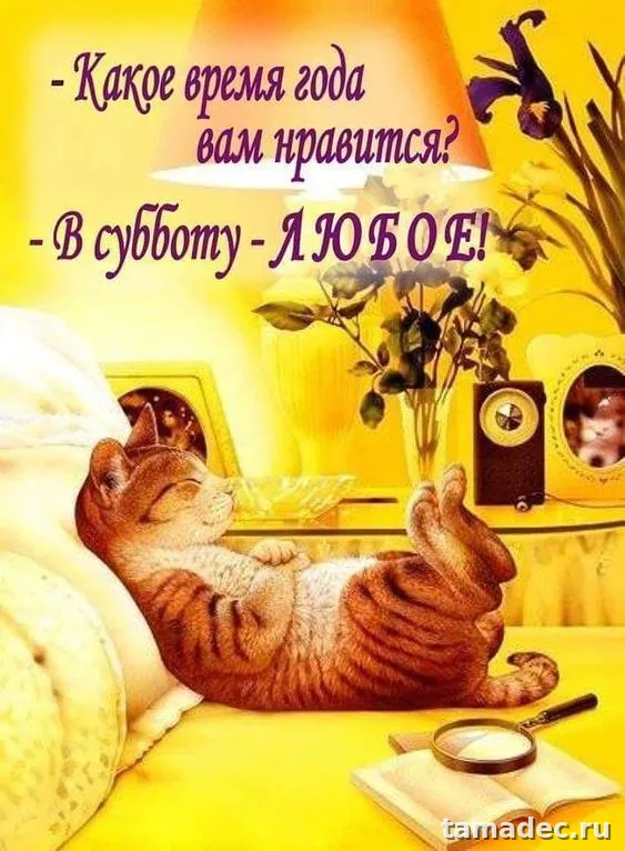 Прикольные картинки "Доброе утро субботы" . Картинки "Доброе утро субботы" красивые и прикольные