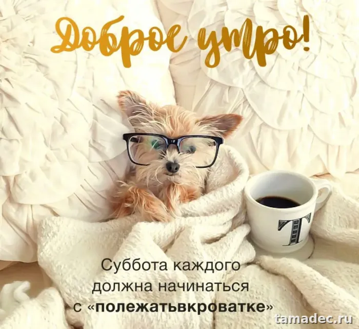 Прикольные картинки "Доброе утро субботы" . Картинки "Доброе утро субботы" прикольные