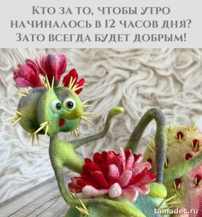 Супер картинки с Добрым утром. Доброе утро - картинки прикольные с надписями