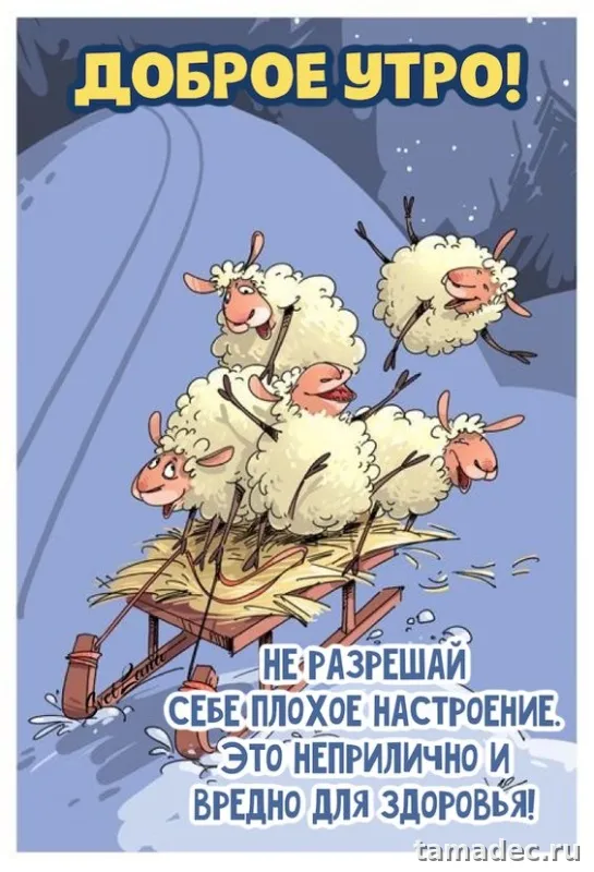 Супер картинки с Добрым утром. Прикольные и смешные картинки Доброе утро