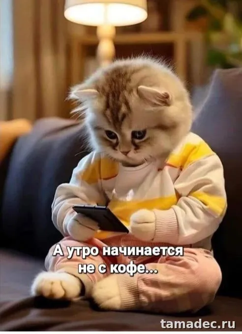 Супер картинки с Добрым утром. Прикольные и смешные картинки Доброе утро