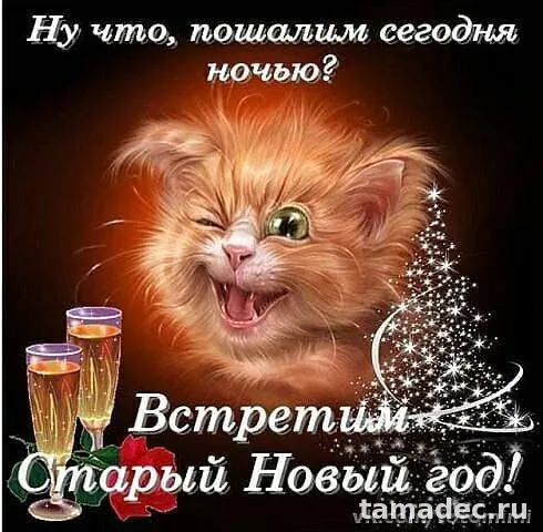 Картинки со Старым Новым Годом . Картинки со Старым Новым Годом прикольные