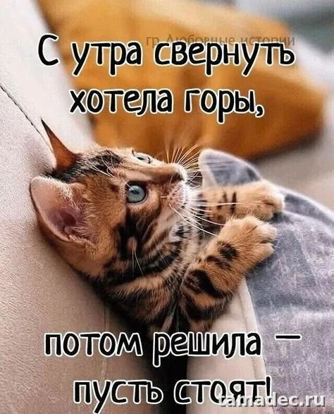 Супер картинки с Добрым утром. Картинки Доброе утро - позитивные и прикольные&nbsp;