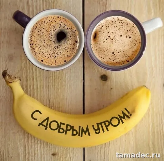 Супер картинки с Добрым утром. Прикольные и смешные картинки Доброе утро