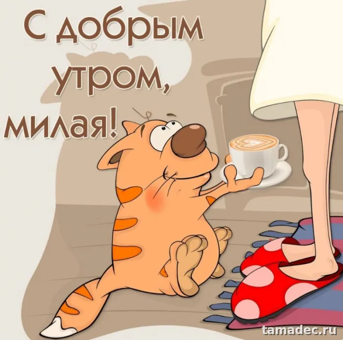 Супер картинки с Добрым утром. Картинки Доброе утро - позитивные и прикольные&nbsp;