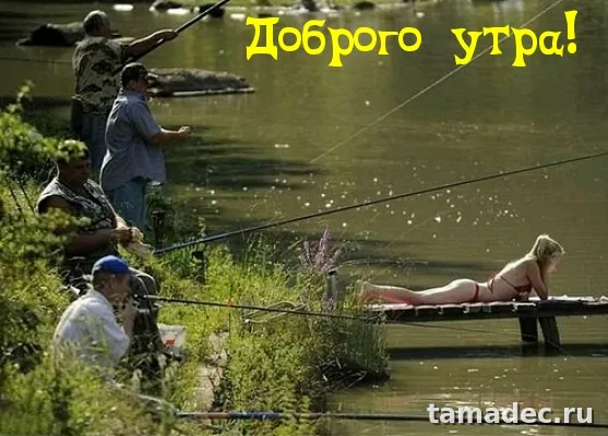 Супер картинки с Добрым утром. Картинки Доброе утро - позитивные и прикольные&nbsp;