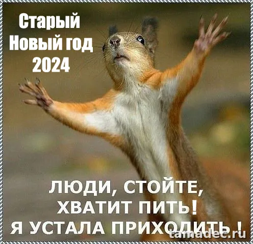 Картинки со Старым Новым Годом . Картинки со Старым Новым Годом прикольные