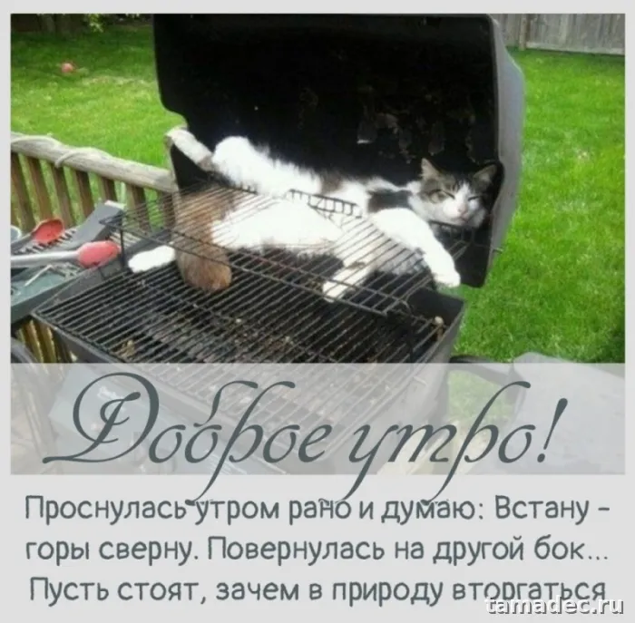 Супер картинки с Добрым утром. Доброе утро - картинки прикольные с надписями