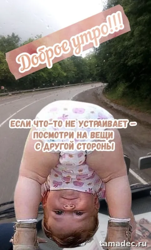Супер картинки с Добрым утром. Прикольные и смешные картинки Доброе утро