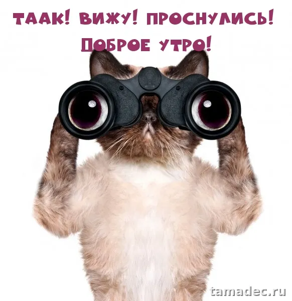 Супер картинки с Добрым утром. Доброе утро - картинки прикольные с надписями