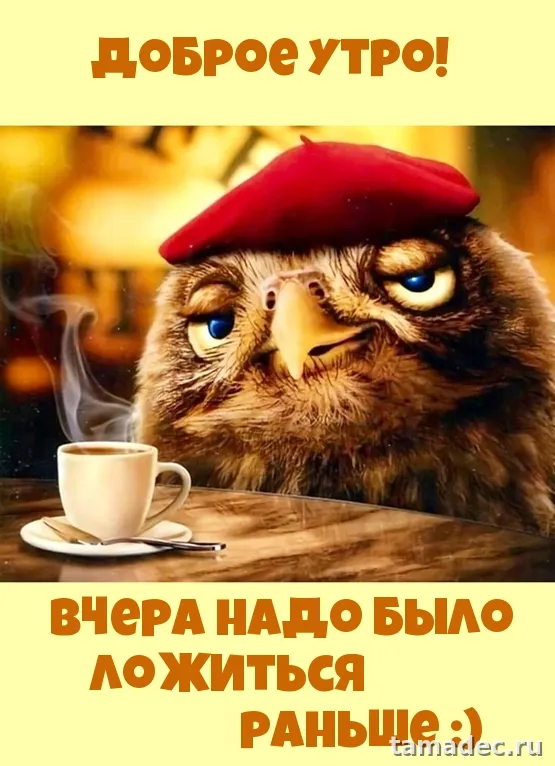 Супер картинки с Добрым утром. Прикольные и смешные картинки Доброе утро