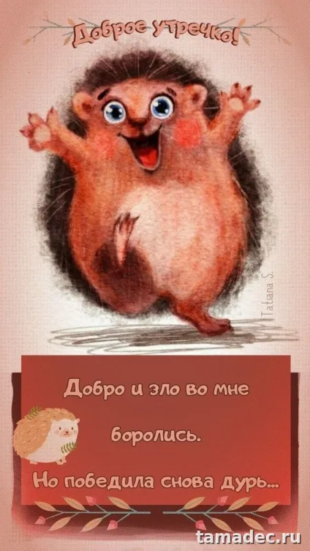 Супер картинки с Добрым утром. Прикольные и смешные картинки Доброе утро