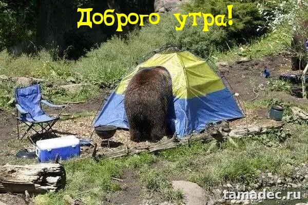 Супер картинки с Добрым утром. Картинки Доброе утро - позитивные и прикольные&nbsp;
