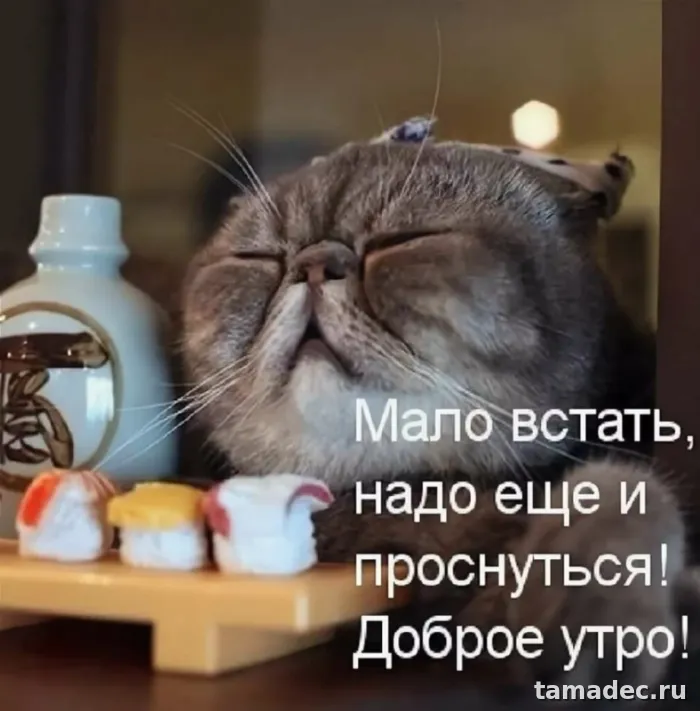 Супер картинки с Добрым утром. Картинки Доброе утро - позитивные и прикольные&nbsp;