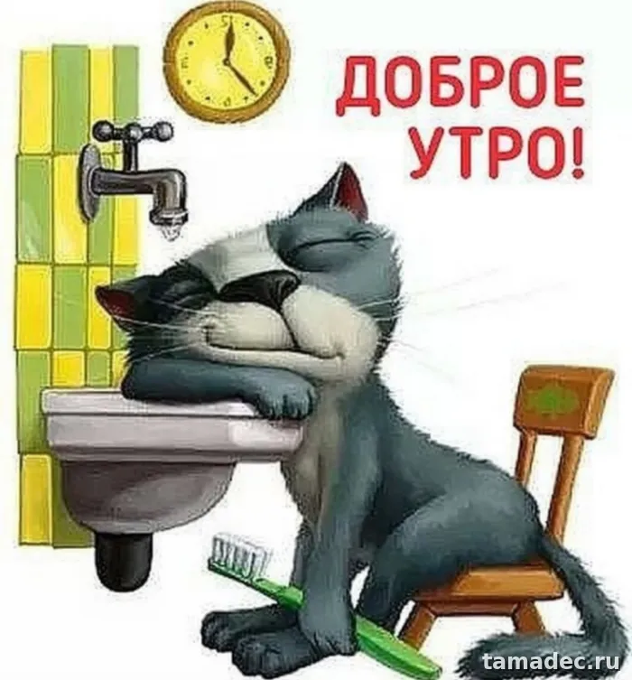 Супер картинки с Добрым утром. Доброе утро - картинки прикольные с надписями