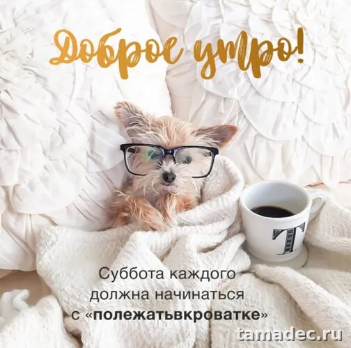 Прикольные картинки "Доброе утро субботы" . Доброе утро суббота картинки красивые