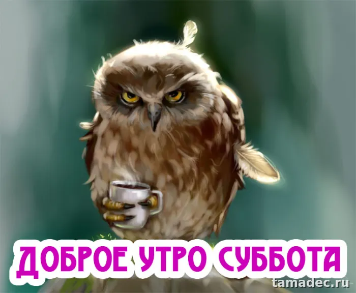 Прикольные картинки "Доброе утро субботы" . Доброе утро суббота картинки красивые