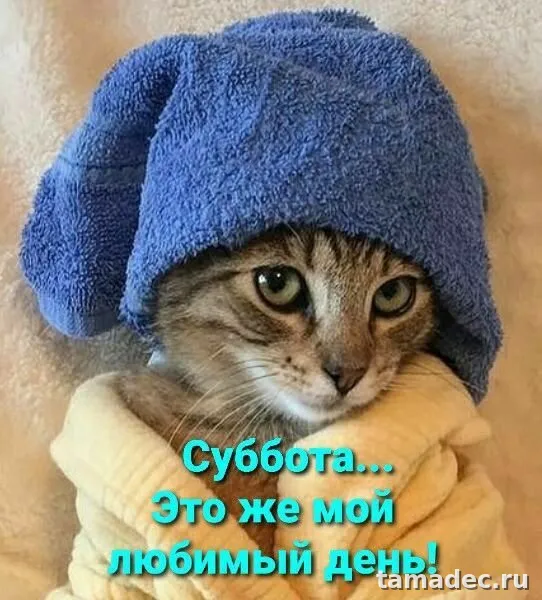 Прикольные картинки "Доброе утро субботы" . Открытки с добрым утром субботы