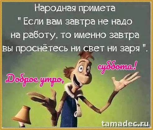Прикольные картинки "Доброе утро субботы" . Доброй субботы картинки прикольные