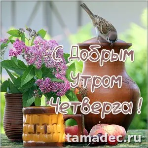 Картинки с Добрым утром четверга. Очень классные картинки доброе утро четверга