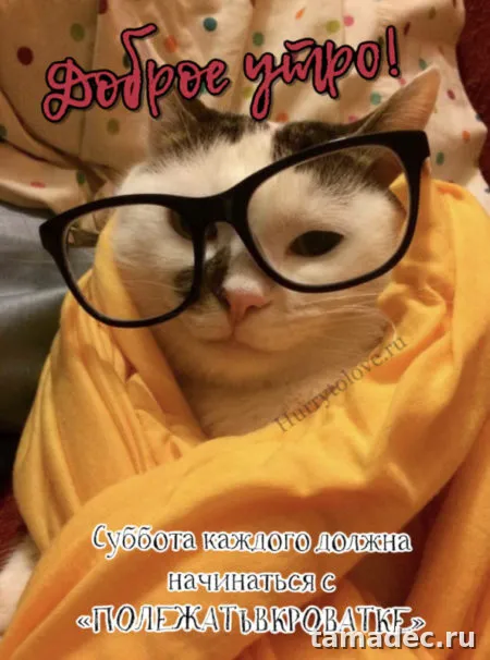 Прикольные картинки "Доброе утро субботы" . Позитивные картинки доброе утро суббота