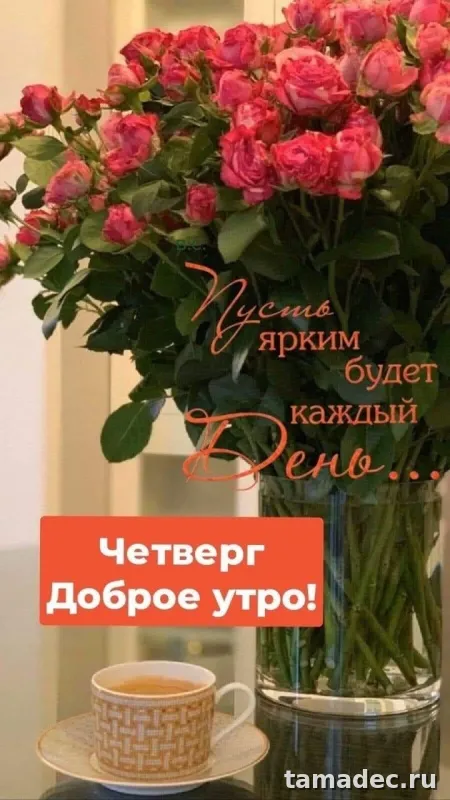 Картинки с Добрым утром четверга. Доброе утро четверга картинки красивые