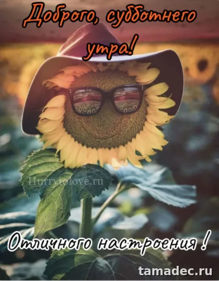 Прикольные картинки "Доброе утро субботы" . Позитивные картинки доброе утро суббота