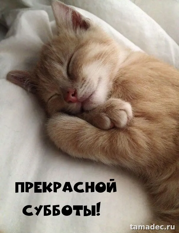 Прикольные картинки "Доброе утро субботы" . Красивые картинки доброе утро субботы