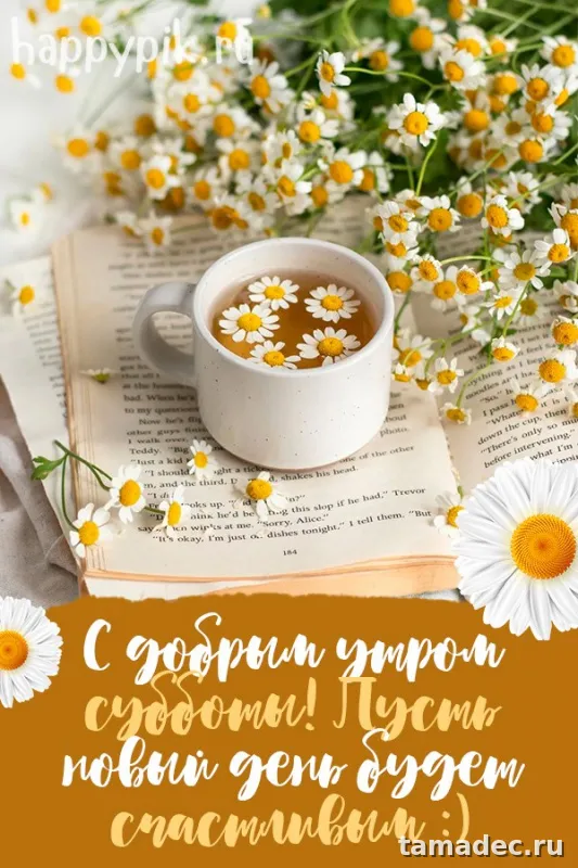 Прикольные картинки "Доброе утро субботы" . Позитивные картинки доброе утро суббота