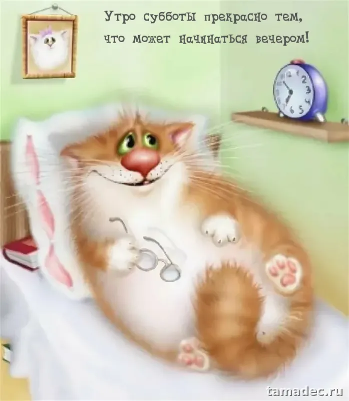 Прикольные картинки "Доброе утро субботы" . Красивые картинки доброе утро субботы