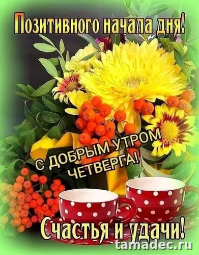 Картинки с Добрым утром четверга. Очень классные картинки доброе утро четверга
