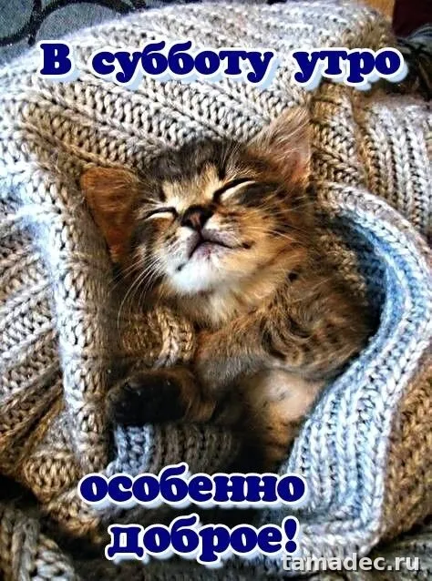 Прикольные картинки "Доброе утро субботы" . Красивые картинки доброе утро субботы