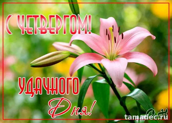 Картинки с Добрым утром четверга. Очень классные картинки доброе утро четверга