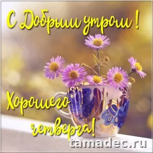 Картинки с Добрым утром четверга. Очень классные картинки доброе утро четверга