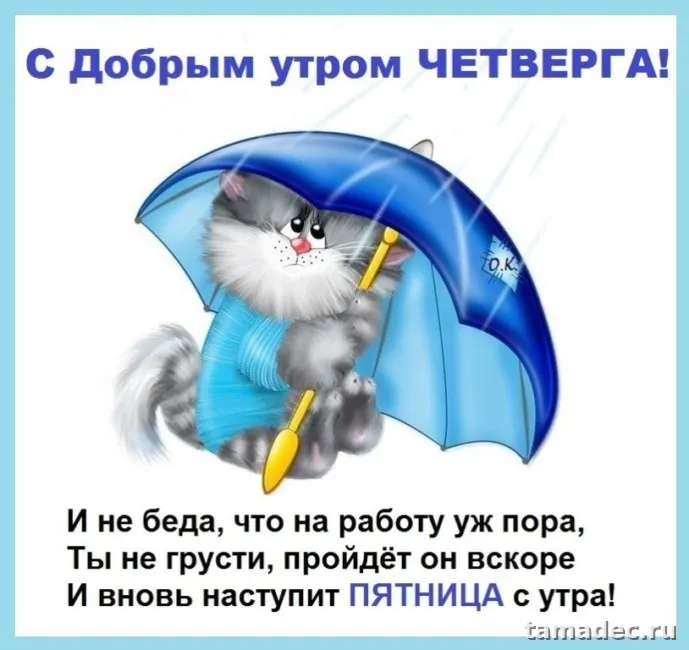 Картинки с Добрым утром четверга. Очень классные картинки доброе утро четверга