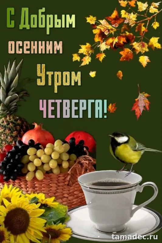 Картинки с Добрым утром четверга. Очень классные картинки доброе утро четверга