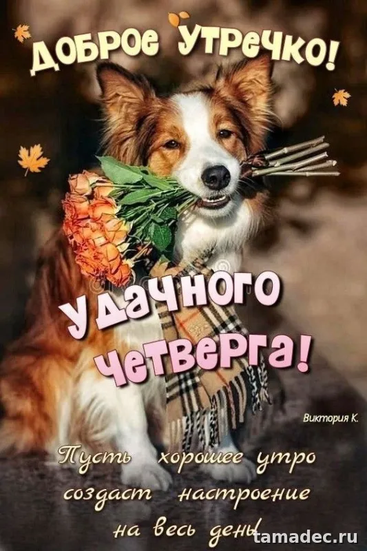 Картинки с Добрым утром четверга. Очень классные картинки доброе утро четверга