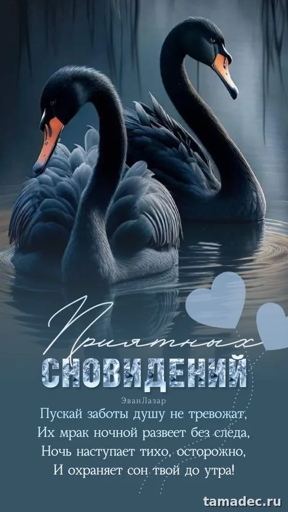 Красивые картинки спокойной и доброй ночи. 