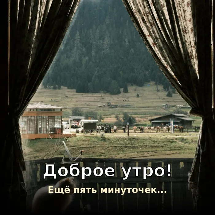 Прикольные картинки Доброе утро . Ещё пять минуточек