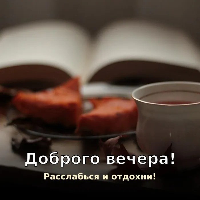 Красивые картинки Добрый вечер. Уютный вечер с книгой
