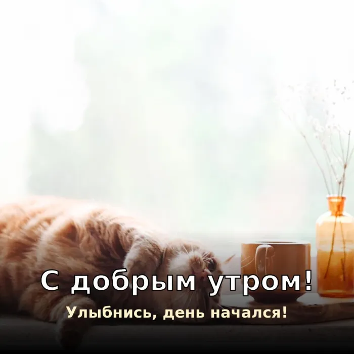 Прикольные картинки Доброе утро . Весёлое доброе утро