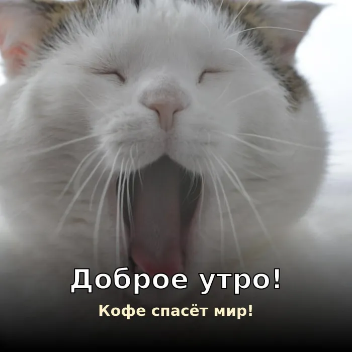 Прикольные картинки Доброе утро . Доброе утро и кофе