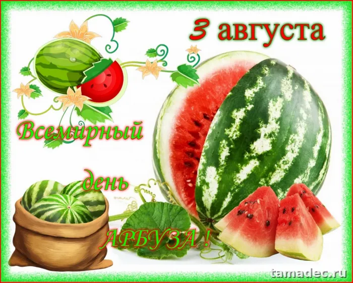 Картинки с Днем арбуза (90 открыток). Красивые картинки с надписями