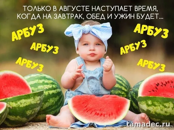 Картинки с Днем арбуза (90 открыток). Красивые картинки с надписями