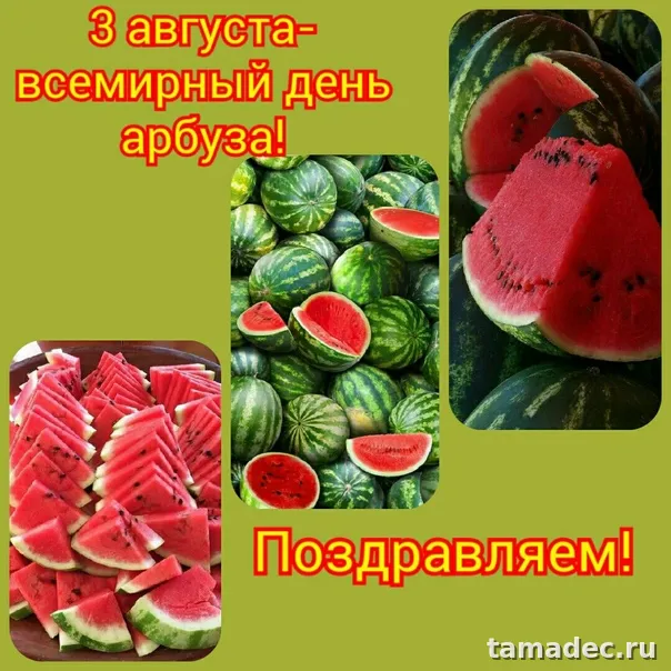 Картинки с Днем арбуза (90 открыток). Красивые картинки с надписями
