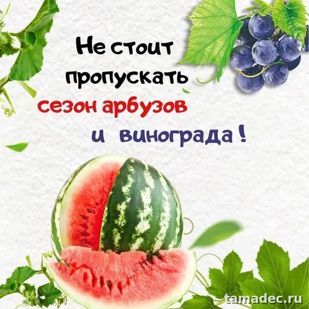Картинки с Днем арбуза (90 открыток). Красивые картинки с надписями