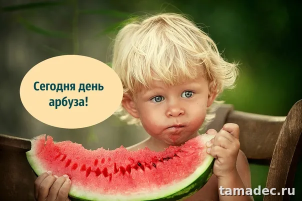 Картинки с Днем арбуза (90 открыток). Красивые картинки с надписями