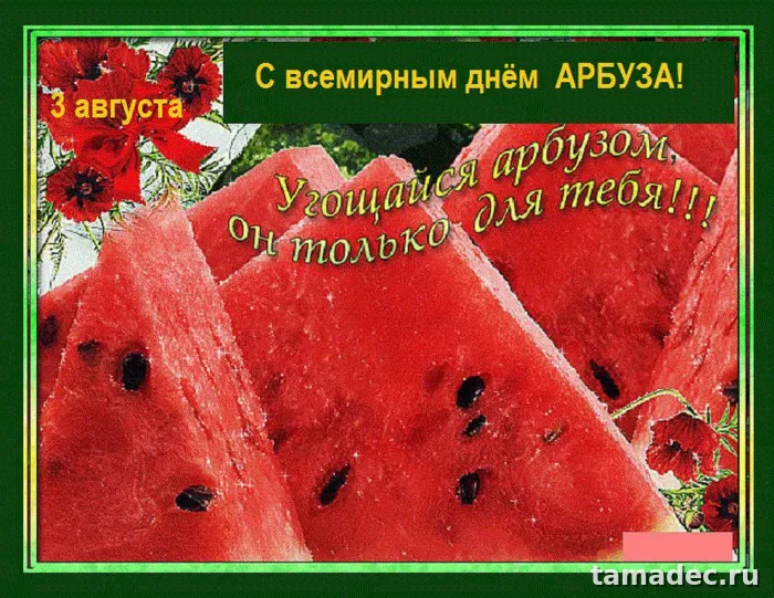 Картинки с Днем арбуза (90 открыток). Красивые картинки с надписями