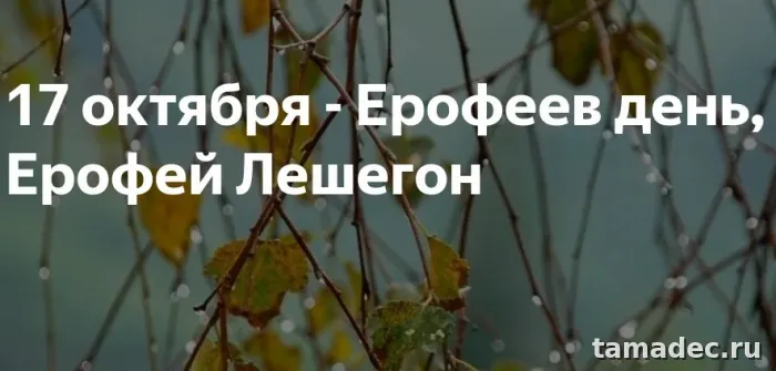 Картинки на Ерофеев день (20 открыток). Картинки с надписями и поздравлениями