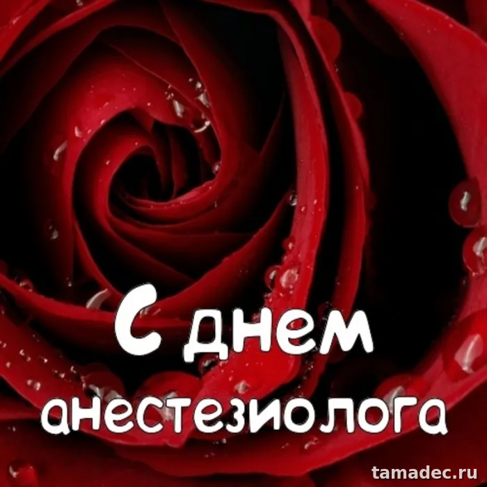 Картинки с Днем анестезиолога (110 открыток). Картинки с поздравлениями